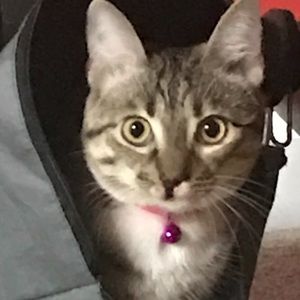 Meet your Posher, Carole